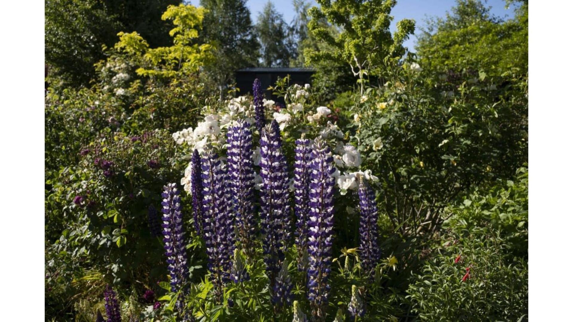 Tiny Away Benger Garden 2 By Tiny Away Villa Millers Flat Exterior photo